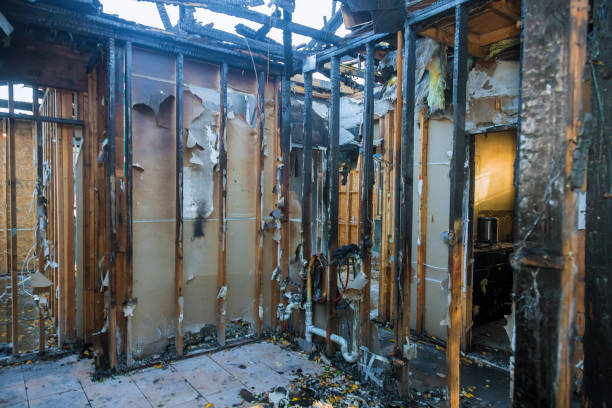 Professional Fire Damage Assessment technician working in Phoenix, OR